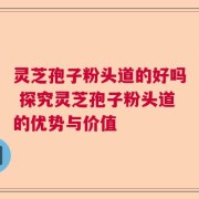 灵芝孢子粉头道的好吗 探究灵芝孢子粉头道的优势与价值