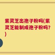 紫灵芝出孢子粉吗(紫灵芝能制成孢子粉吗？)