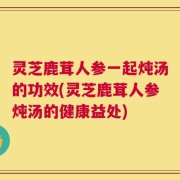 灵芝鹿茸人参一起炖汤的功效(灵芝鹿茸人参炖汤的健康益处)