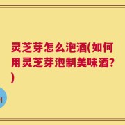 灵芝芽怎么泡酒(如何用灵芝芽泡制美味酒？)