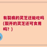 有裂痕的灵芝还能吃吗(裂开的灵芝还可食用吗？)