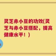灵芝赤小豆的功效(灵芝与赤小豆搭配，提高健康水平！)