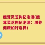鹿茸灵芝枸杞泡洒(鹿茸灵芝枸杞泡洒：滋养健康的好选择)