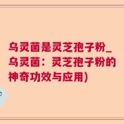 乌灵菌是灵芝孢子粉_乌灵菌：灵芝孢子粉的神奇功效与应用)