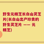 野生元精芝长白山灵芝片(长白山出产珍贵的野生灵芝片 —— 元精芝)