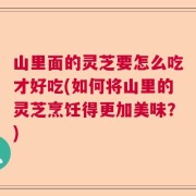 山里面的灵芝要怎么吃才好吃(如何将山里的灵芝烹饪得更加美味？)