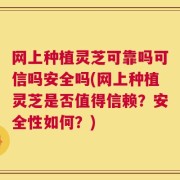 网上种植灵芝可靠吗可信吗安全吗(网上种植灵芝是否值得信赖？安全性如何？)