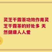 灵芝干露茶功效作用灵芝干露茶的好处多 天然健康人人爱
