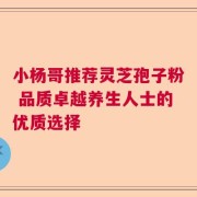 小杨哥推荐灵芝孢子粉 品质卓越养生人士的优质选择
