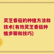 灵芝香菇的种植方法和技术(有效灵芝香菇种植步骤和技巧)