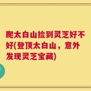 爬太白山捡到灵芝好不好(登顶太白山，意外发现灵芝宝藏)