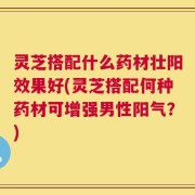 灵芝搭配什么药材壮阳效果好(灵芝搭配何种药材可增强男性阳气？)