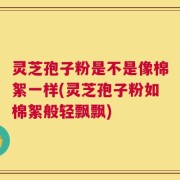 灵芝孢子粉是不是像棉絮一样(灵芝孢子粉如棉絮般轻飘飘)