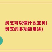 灵芝可以做什么宝贝(灵芝的多功能用途)