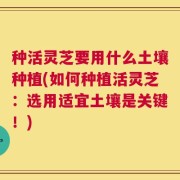 种活灵芝要用什么土壤种植(如何种植活灵芝：选用适宜土壤是关键！)