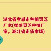 湖北省孝感市种植灵芝厂家(孝感灵芝种植厂家，湖北省走俏市场)