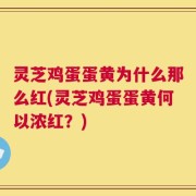 灵芝鸡蛋蛋黄为什么那么红(灵芝鸡蛋蛋黄何以浓红？)