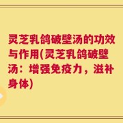 灵芝乳鸽破壁汤的功效与作用(灵芝乳鸽破壁汤：增强免疫力，滋补身体)