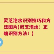 灵芝泡水识别技巧和方法图片(灵芝泡水：正确识别方法！)