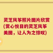 灵芝风筝照片图片欣赏(赏心悦目的灵芝风筝美图，让人为之惊叹)