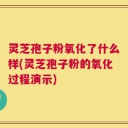 灵芝孢子粉氧化了什么样(灵芝孢子粉的氧化过程演示)