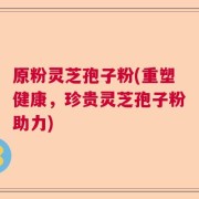 原粉灵芝孢子粉(重塑健康，珍贵灵芝孢子粉助力)