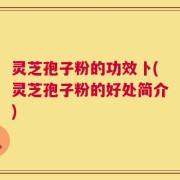 灵芝孢子粉的功效卜(灵芝孢子粉的好处简介)