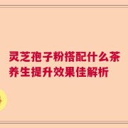 灵芝孢子粉搭配什么茶养生提升效果佳解析