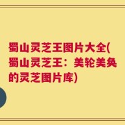 蜀山灵芝王图片大全(蜀山灵芝王：美轮美奂的灵芝图片库)