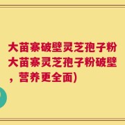 大苗寨破壁灵芝孢子粉大苗寨灵芝孢子粉破壁，营养更全面)