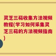 灵芝三萜收集方法视频教程(学习如何采集灵芝三萜的方法视频指南)