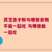 灵芝孢子粉与哪些食物不能一起吃 与哪些能一起吃