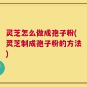 灵芝怎么做成孢子粉(灵芝制成孢子粉的方法)