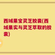 西域果宝灵芝胶囊(西域果实与灵芝萃取的胶囊)
