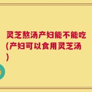 灵芝熬汤产妇能不能吃(产妇可以食用灵芝汤)