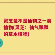灵芝是不是仙物之一类植物(灵芝：仙气飘飘的草本植物)