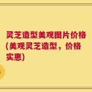 灵芝造型美观图片价格(美观灵芝造型，价格实惠)