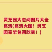 灵芝园大包间图片大全高清(高清大图！灵芝园豪华包间欣赏！)