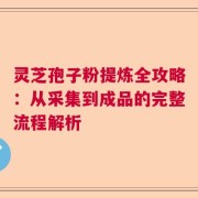 灵芝孢子粉提炼全攻略：从采集到成品的完整流程解析