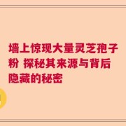 墙上惊现大量灵芝孢子粉 探秘其来源与背后隐藏的秘密