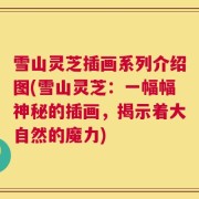 雪山灵芝插画系列介绍图(雪山灵芝：一幅幅神秘的插画，揭示着大自然的魔力)