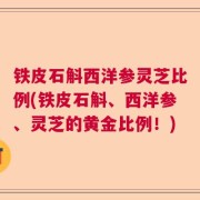 铁皮石斛西洋参灵芝比例(铁皮石斛、西洋参、灵芝的黄金比例！)