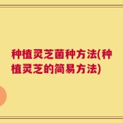 种植灵芝菌种方法(种植灵芝的简易方法)