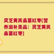 灵芝黄芪桑葚红枣(营养滋补圣品：灵芝黄芪桑葚红枣)