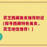 灵芝西藏美食推荐附近(探寻西藏特色美食，灵芝绝佳推荐！)
