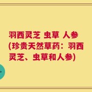 羽西灵芝 虫草 人参(珍贵天然草药：羽西灵芝、虫草和人参)