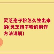 灵芝孢子粉怎么生出来的(灵芝孢子粉的制作方法详解)