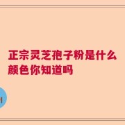 正宗灵芝孢子粉是什么颜色你知道吗