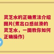 灵芝水的正确煮法介绍图片(煮出口感丝滑的灵芝水，一图教你如何正确操作)