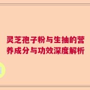 灵芝孢子粉与生抽的营养成分与功效深度解析